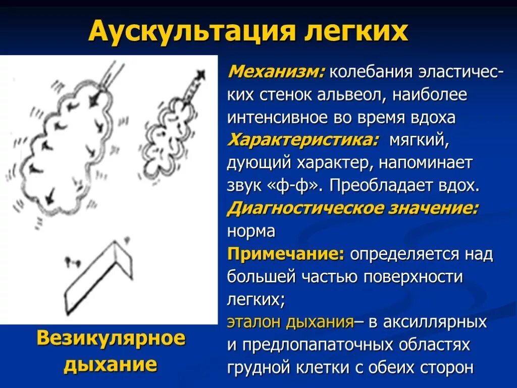 Аускультация легких. Диагностическое значение аускультации лёгких.. Дыхательные шумы при аускультации легких. Патологические звуки при аускультации легких. Шум на вдохе