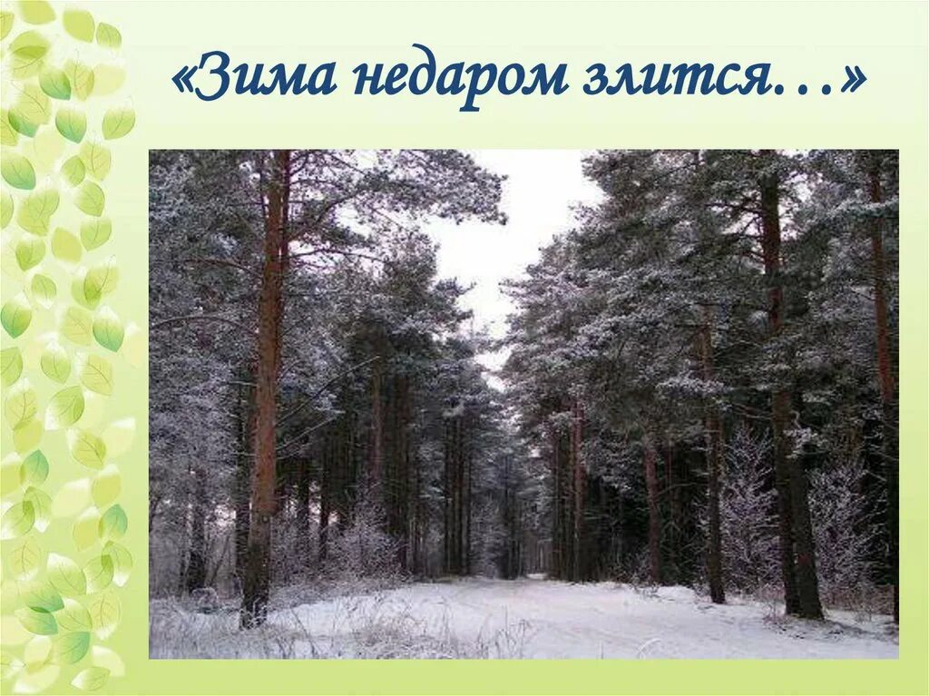 Зима недаром злилась 5 класс. Тютчев зима недаром злится. зима недаром. тютчев зима недаром злится стихотворение. стишок зима не даром злится.