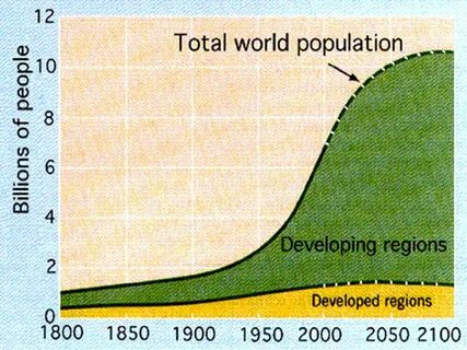 The world s population