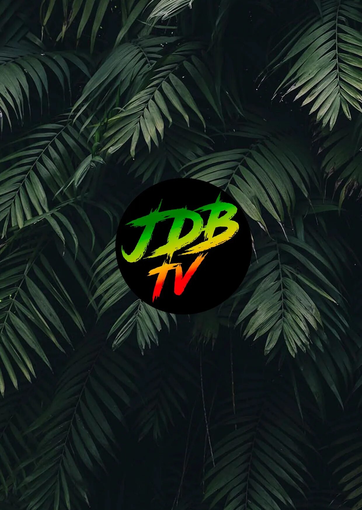 Jungle dnb. Jungle gorilla dnb. jungle dnb надпись. top jungle dnb.