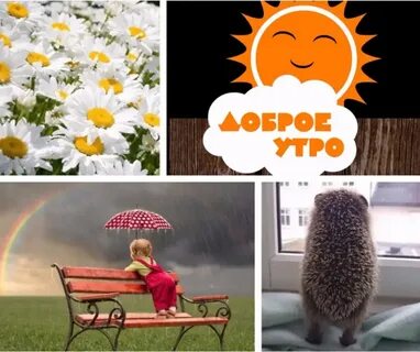 Доброе утро октября приколы