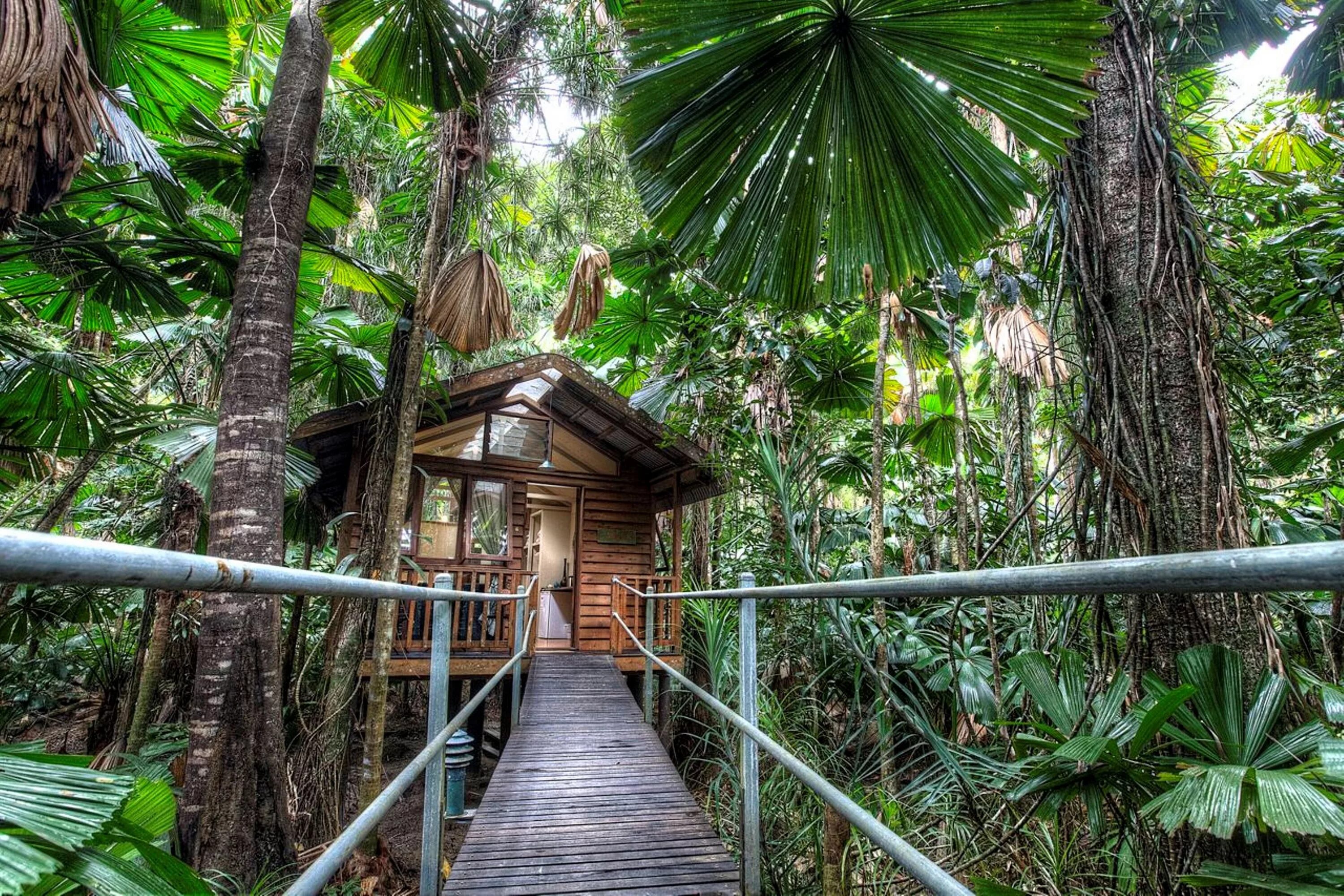 Лес Дейнтри Австралия. Национальный парк Дейнтри. Daintree Eco Lodge & Spa (Австралия, Дейнтри). Национальный парк «Дейнтри» в городе порт Дуглас.