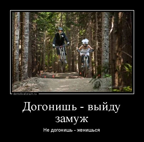 Включи догони
