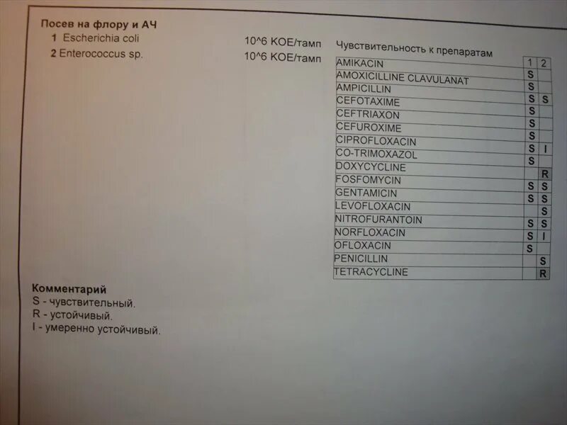 Escherichia coli что это у мужчин. Бак посев мочи Escherichia coli 10 4. Посев на флору у женщин. Посев на флору и Ач. Посев на флору и Ач норма.