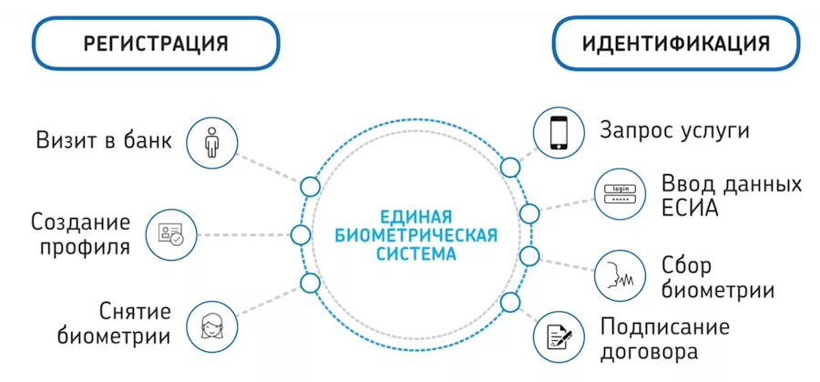 Идентификация данных в банке. Единая биометрическая система. удаленная идентификация. единая биометрическая система (ебс).