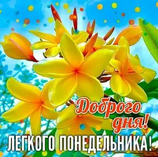 16 понедельников для женщин