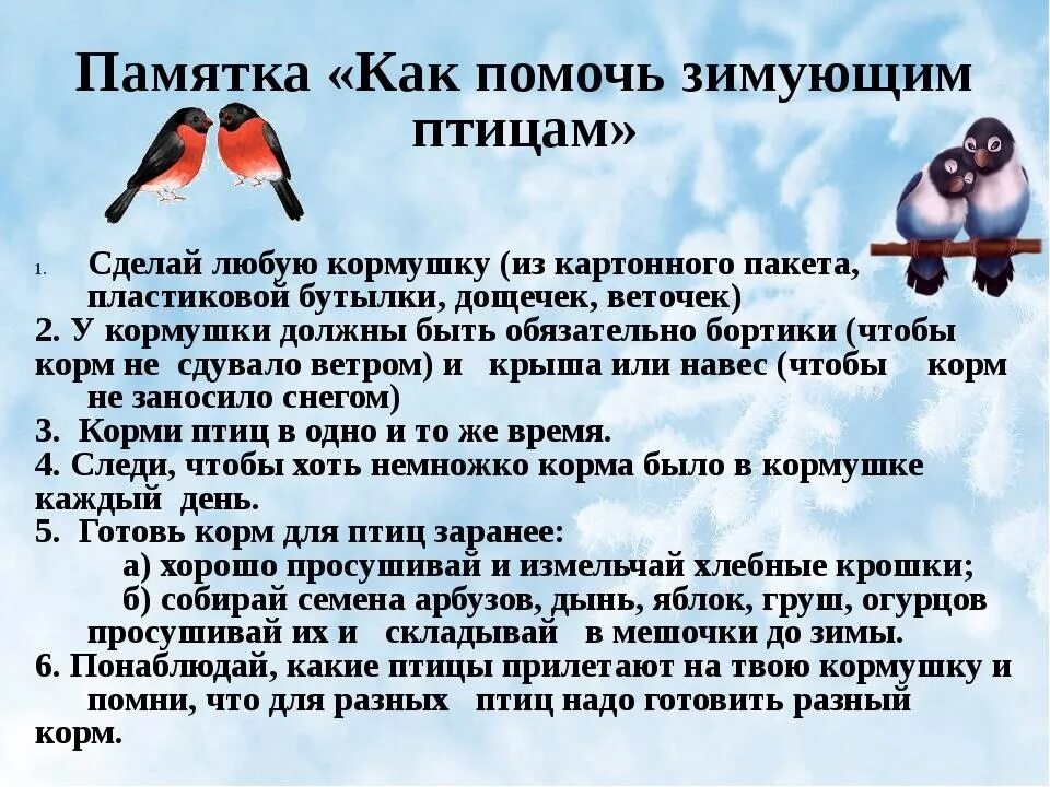 Консультация на тему зимующие птицы. Поможем зимующим птицам. Беседы с детьми зима, зимующие птицы. Консультация о зимующих птицах для дошкольников. Снегирь значение птицы