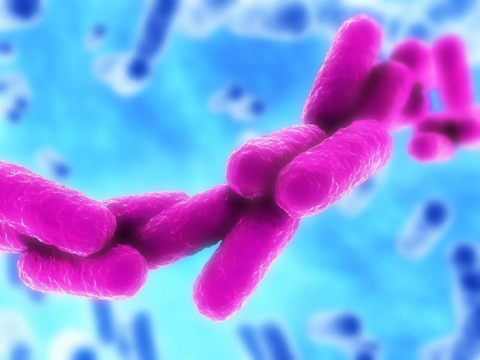 Klebsiella pneumoniae бактерия возбудитель. Klebsiella pneumoniae микроскопия. Бактерия клебсиелла. Инфекции клебсиелла симптомы. Возбудитель клебсиелла микробиология.