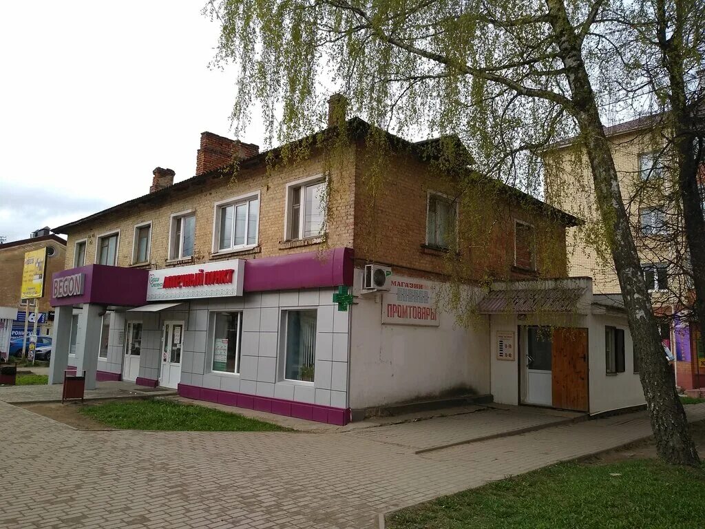 Цветик семицветик вязьма отзывы. Салон бархат. Цветочная рассада вывески. Цветочные магазины вязьма. Цветочный вязьма.