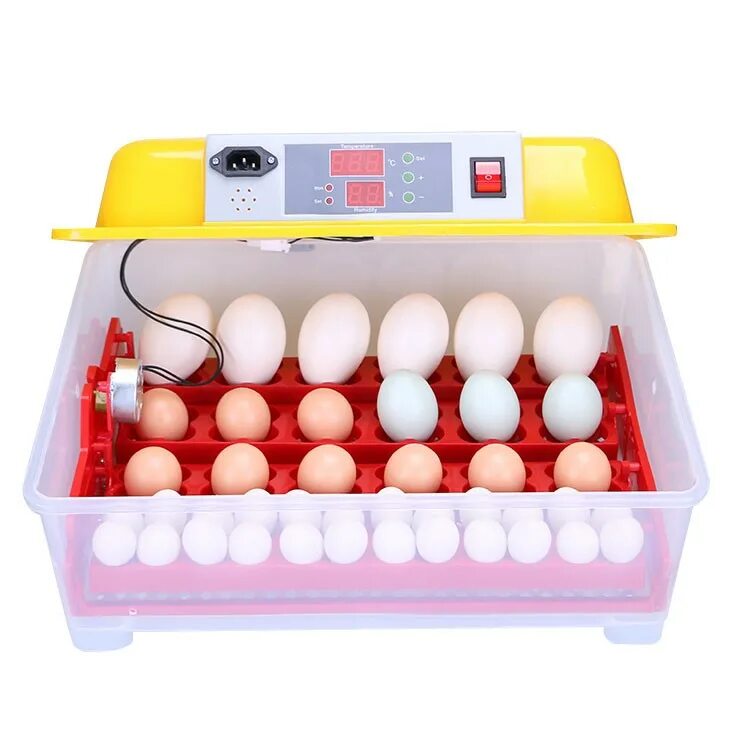 Инкубатор 12 Egg incubator. Инкубатор автоматический WQ-24. Инкубатор для яиц автоматический гусиные яйца. Egg incubator DC 12v.