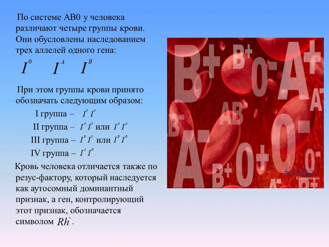 Как пишутся группы крови и резус. Группа крови. Группы крови человека. Система ав0 группы крови. Группы крови по ав0.