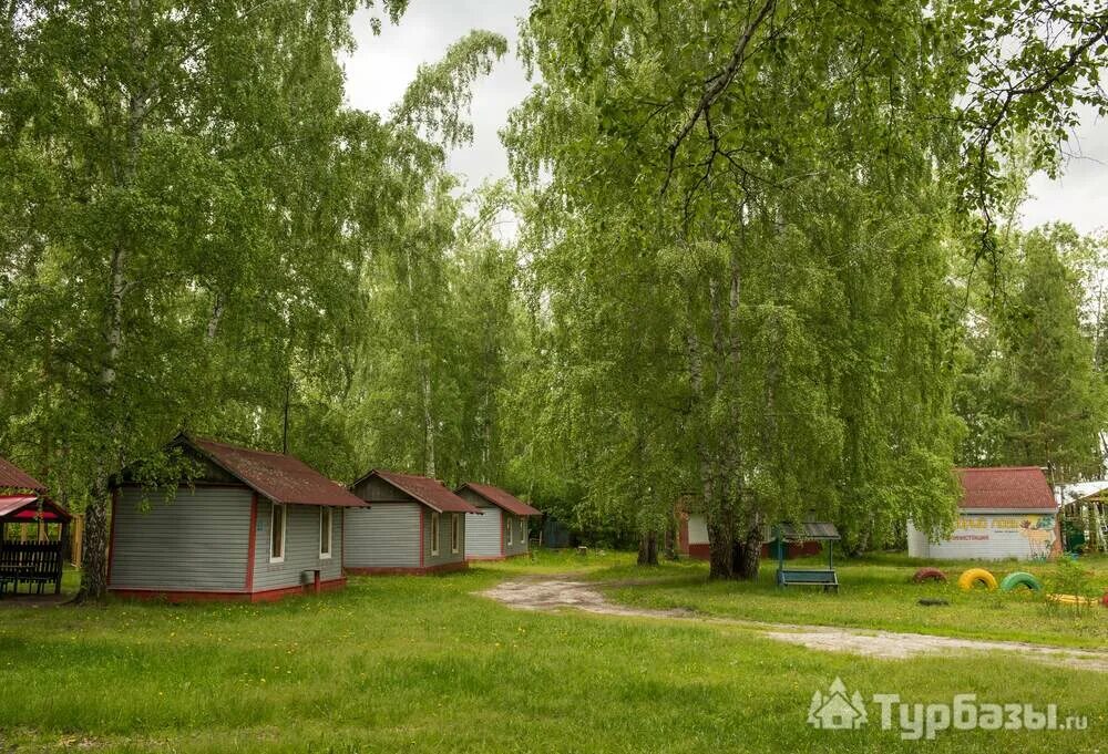 Добрый Лось база отдыха Шеломенцево. База отдыха добрый Лось в Шеломенцево Челябинская область. Добрый Лось база отдыха Еткуль. Добрый Лось база отдыха Челябинск. База отдыха добрый лось сайт