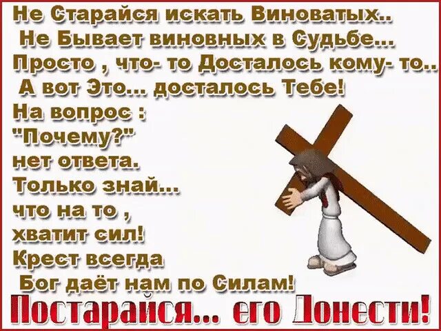 У сильного всегда бессильный виноват. У бессильного всегда сильный виноват пословица. Кто виноват и что делать шутки. Ссп предложения соединительно отождествительные. Виновата значение.