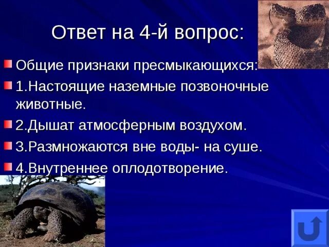 Первые настоящие наземные животные. Пресмыкающихся называют настоящими наземными животными. Рептилии первые настоящие наземные позвоночные. Признаки пресмыкающихся. Оплодотворение у пресмыкающихся.