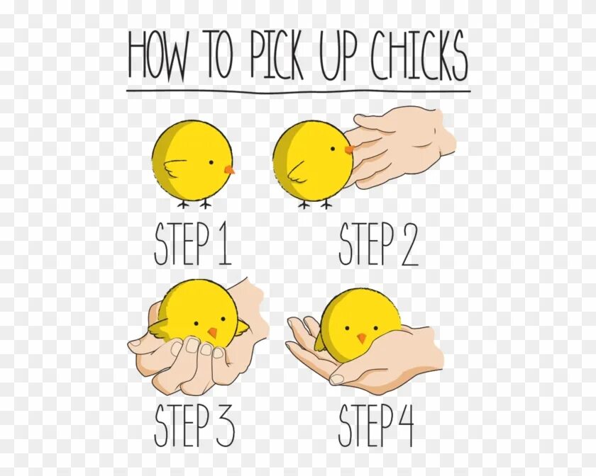 What your up too. Step 1 meme. to pick up. pick you up. what to pick.