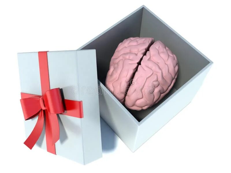 мозги коробочки. мозг в подарок. мозг в коробке. мыло мозг. коробка с мозгами.