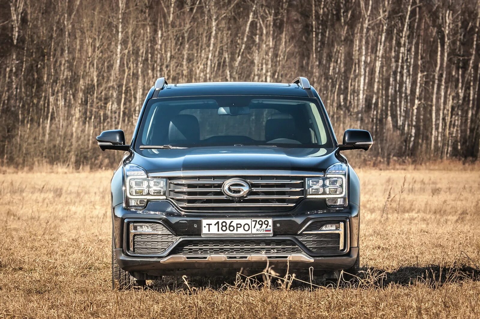 GAC gs8. GAC gs8 2018. GAC gs8 gt. GAC gs8 фары. Gac gs8 тест драйв