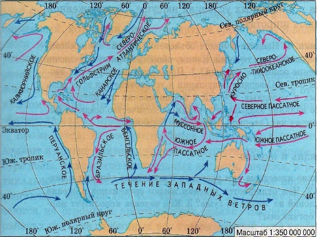 4 теплых океана. Тёплые течения мирового океана на карте. Карта холодных течений мирового океана. Куросио течение на карте. Теплые и холодные течения мирового океана.