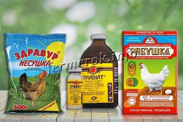 Фелуцен п2 для кур. Витамины для яйценоскости кур. Витамины для яйценоскости кур. Витамины для яйценоскости кур. Витамины для кур.