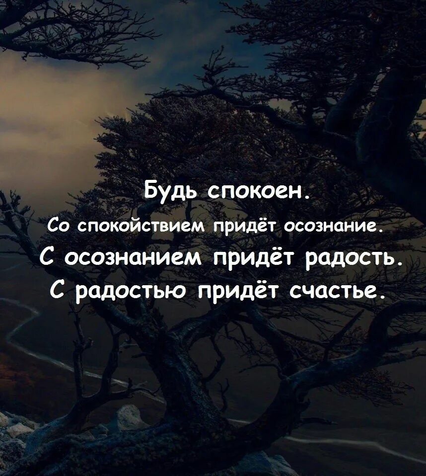 Жизненная мощь мудрость сосредоточенность и успокоение. Мудрые цитаты. Высказывания о спокойствии. Умные фразы. Спокойствие цитаты.