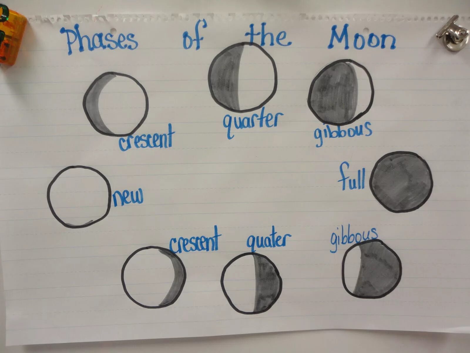 Moons going. Moon phases for Kids. Moon phase Worksheet for Kids. Worksheet about the Moon. Moon Worksheets for Kids.