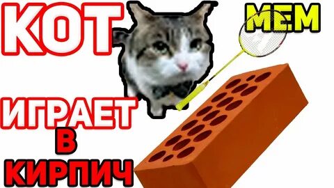 Отбивался котом