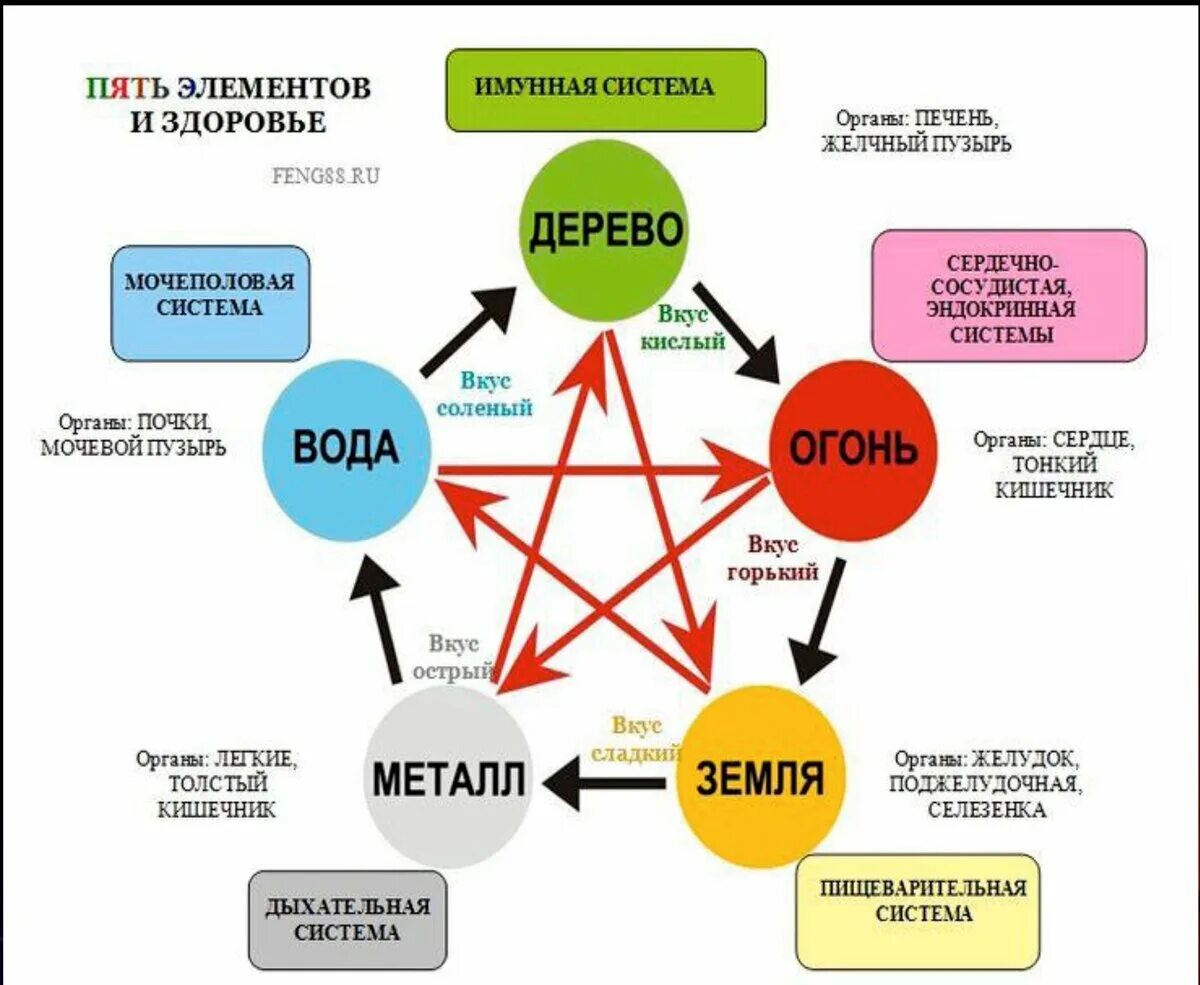 5 элемент фен. Система 5 элементов у-син. Круг у-син 5 элементов в Бацзы. У-син теория 5 первоэлементов. Схема у-син пять первоэлементов.