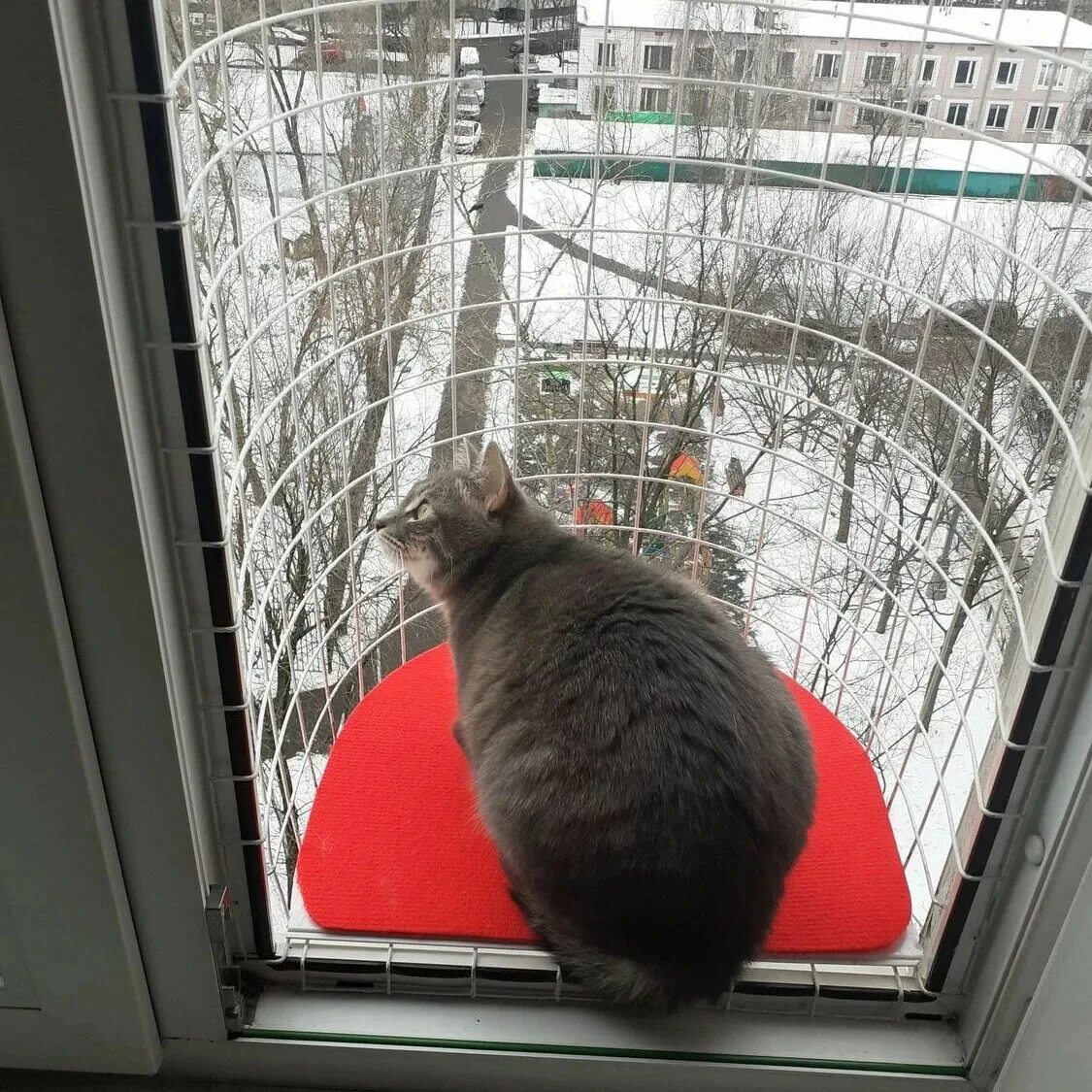 Кошки в окне купить в москве. Клетка антикошка. Кошачий балкон антикошка. Балкон-антикошка katfreedom.. Клетка антикошка для кошек.