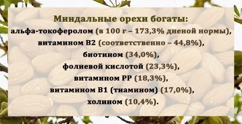 Миндаль орех вред для организма. Чем полезны орехи миндаль. Миндаль полезные свойства. Миндаль польза. Чем полезен миндальный орех.