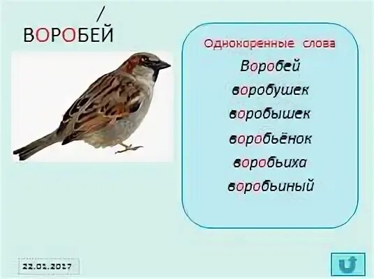 Состав слова воробьями