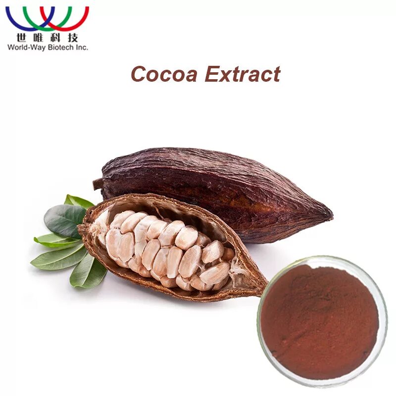 Chocolate is extracted from the