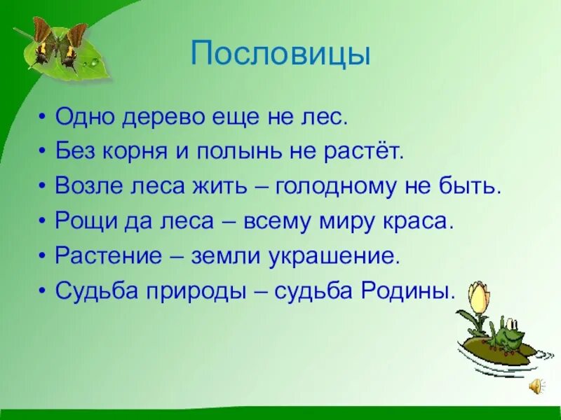 Какой лес без чудес 3 класс родной язык презентация. Какой лес без чудес 3 класс родной язык. Пословица одно дерево. Пословица без корня и Полынь не растет.