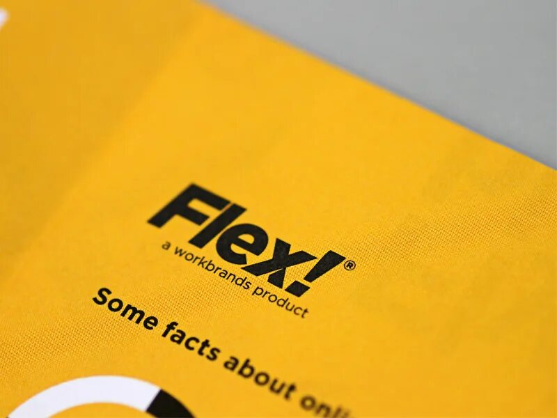 Flex logo. Fome Flex лого. T-Flex логотип. Rico Flex логотип. Флес