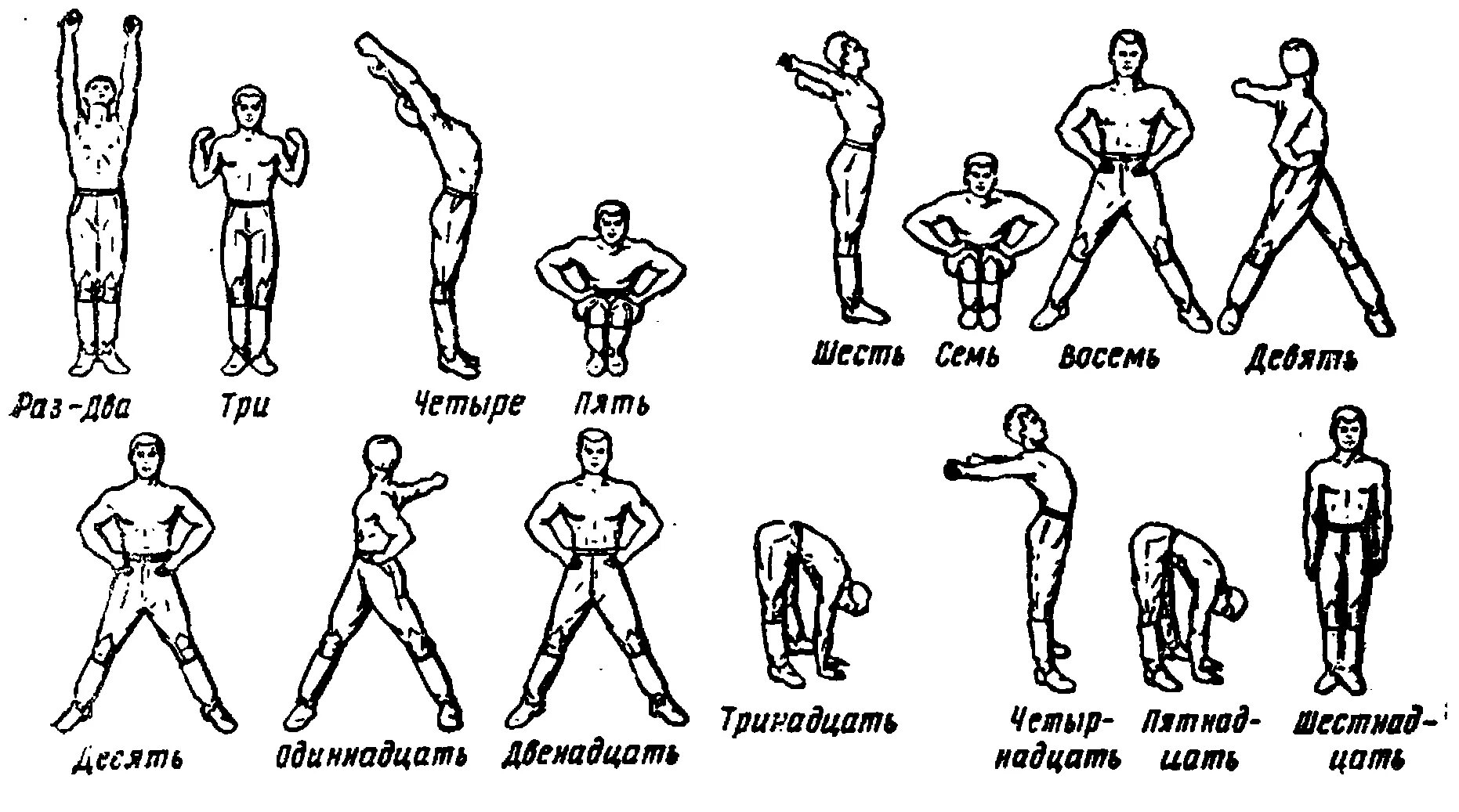 Комплекс любых упражнений. Вольные упражнения в гимнастике схема. Зарядка схема упражнений для мужчин. Комплекс разминки из 6 упражнений. Гимнастика комплекс вольных упражнений МЧС.