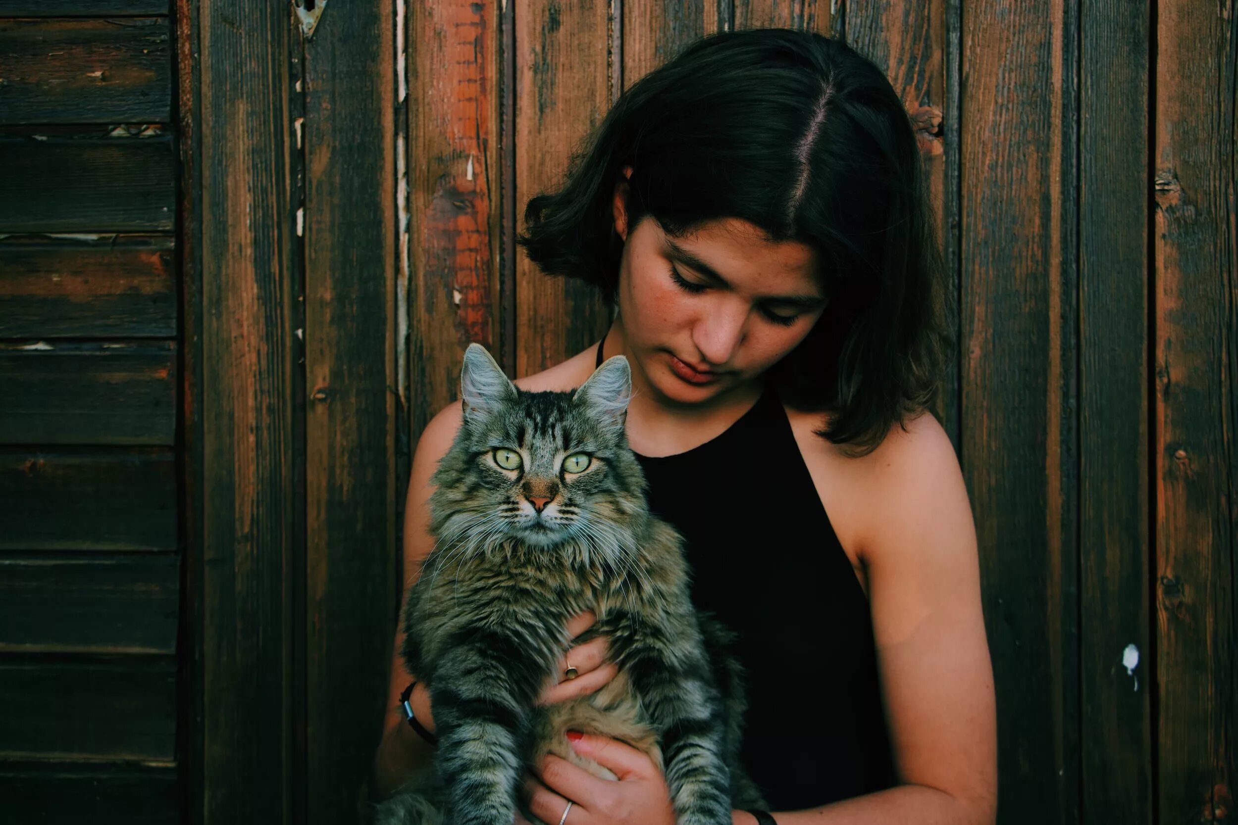 Кошка жена. Кошка жена. Партия кошка жена. Кошка жена. Кошка жена откуда.