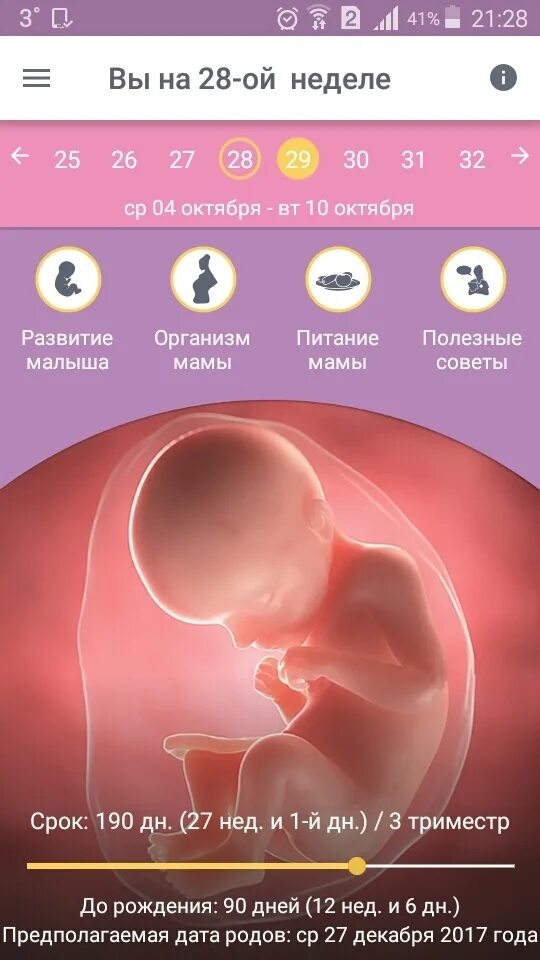 Программа 40 недель