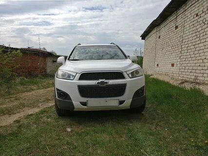 Каптива туманки