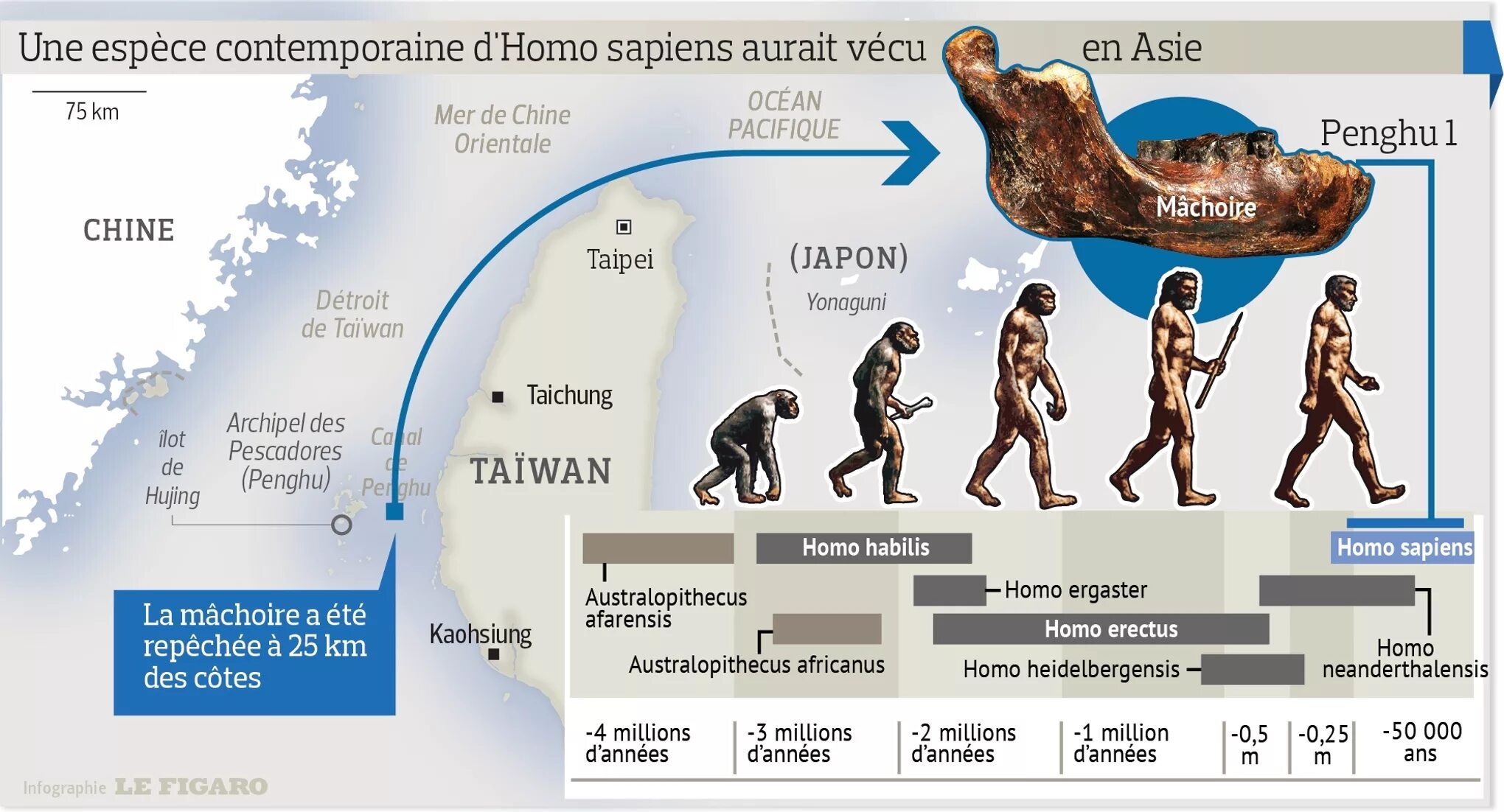 Программа homo sapiens