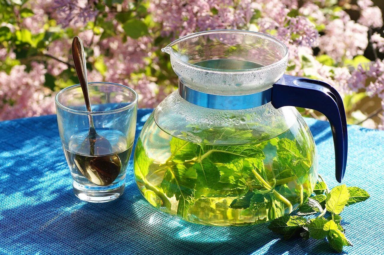 Сколько настаивать воду. Herbal Tea мята. Зеленый чай. Отвар из трав. Чай с мятой.