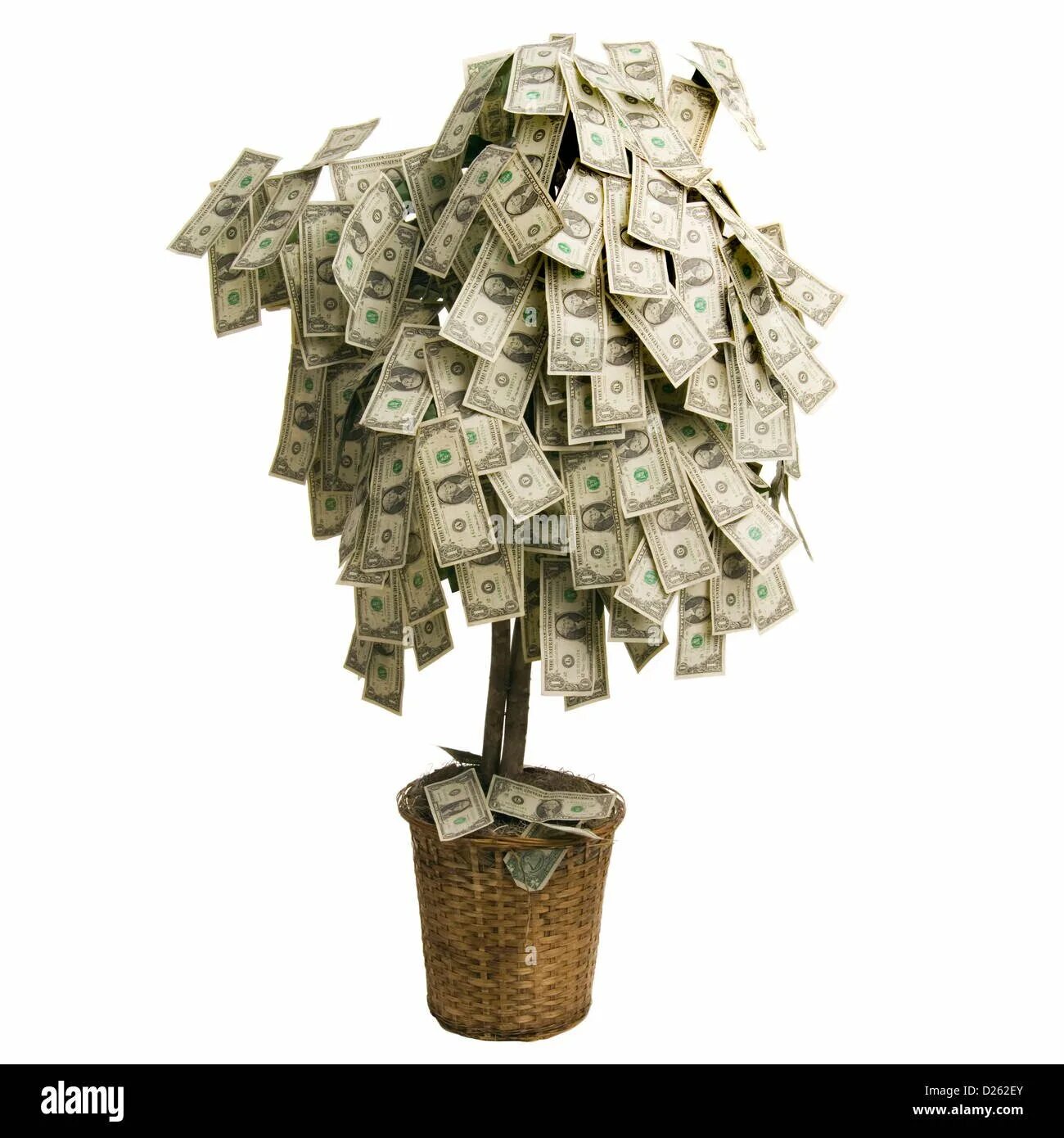 Дерево из денег. Дерево с деньгами. Дерево из денег в подарок. Дерево с купюрами. Дерево из купюр