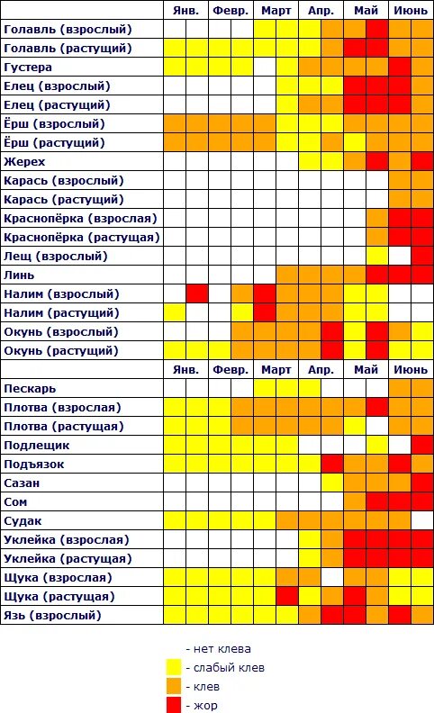 Клев по месяцам. Календарь рыбалки. Календарь клева рыбы. График рыбалки. График клева карпа.