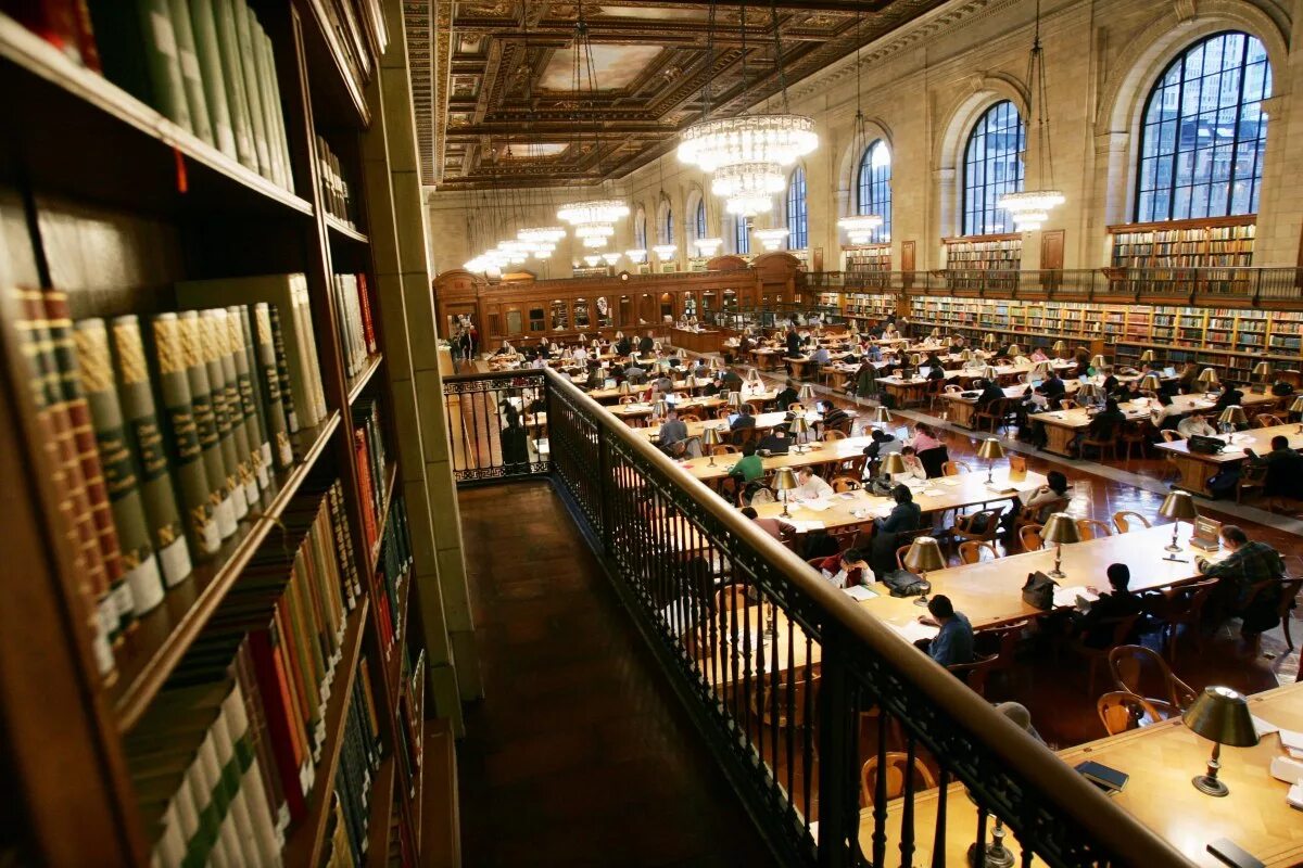 University library
