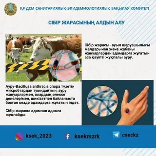 Эротикалық gif секс порно