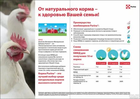 Комбикорм для индюшат старт