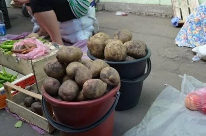 Картошка 5 рублей. Ведро картошки. Картофель в ведре. Прошлогодняя картошка. Ведро картошки рынок.