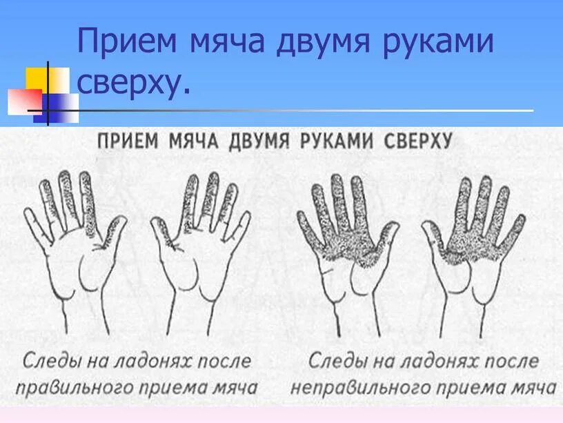 Техника выполнения приема мяча сверху. Положение кистей рук в волейболе. Положение рук при приеме мяча в волейболе. Правильное положение рук при игре в волейбол.