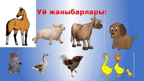 Шеңбердегі орыс порно