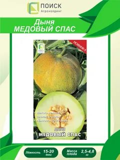 Дыня медовый спас