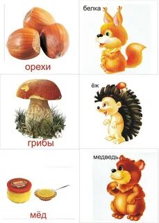 Слова на вопросы кто что карточка