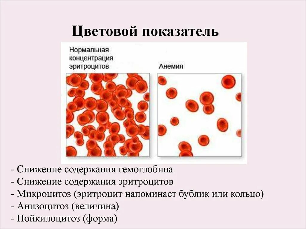 Эритроциты 3 3 у мужчин. Цветовой показатель крови эритроциты. Цветовой показатель эритроцитов норма. Функции цветного показателя эритроцитов. Снижение гемоглобина и цветового показателя анизоцитоз.